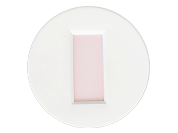 NS-CP9嵌入式探測器